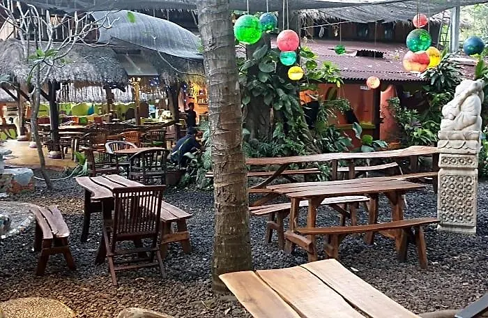 Topi